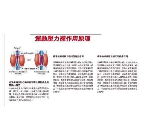 280Den漸進式壓力褲襪